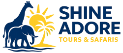 Shine Adore Tours & Travel